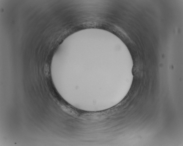 X0000072970025200608211333