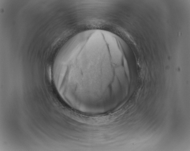 X0000072970027200608211333