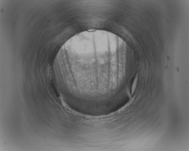 X0000072970029200608211333