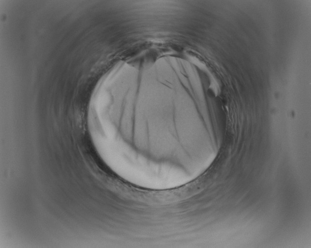 X0000072970031200608211333