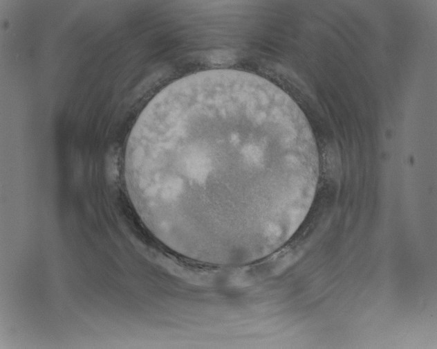 X0000072970032200608211333