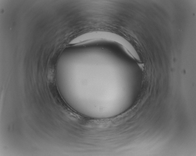 X0000072970033200608211333