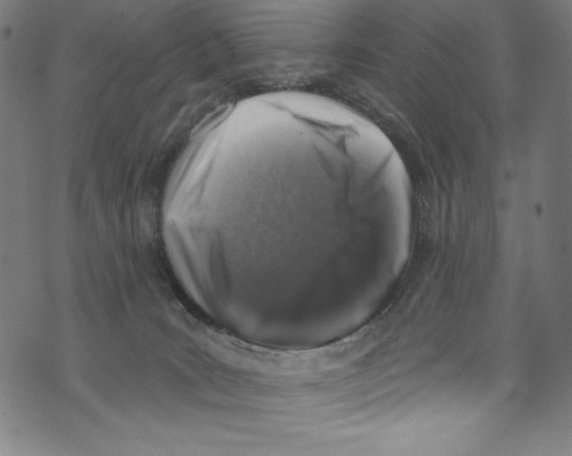 X0000072970035200608211333