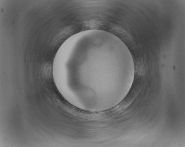 X0000072970036200608211333