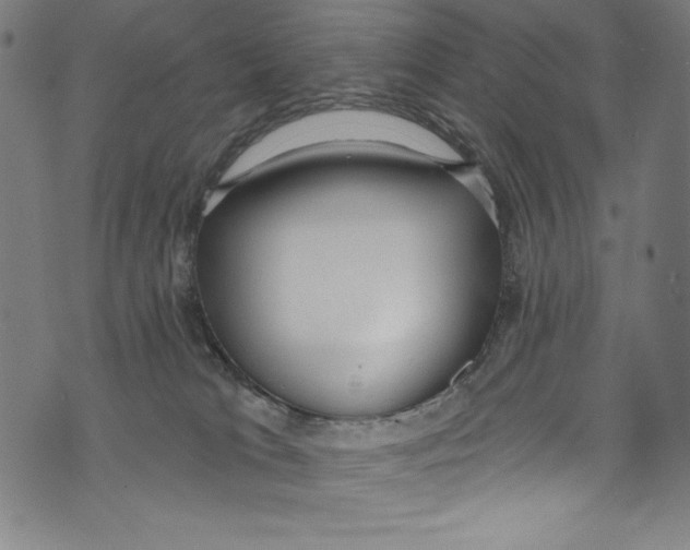 X0000072970037200608211333