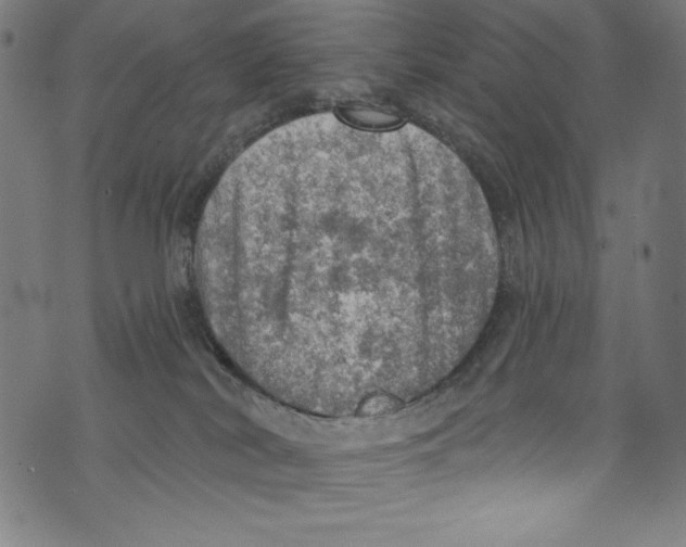 X0000072970038200608211333