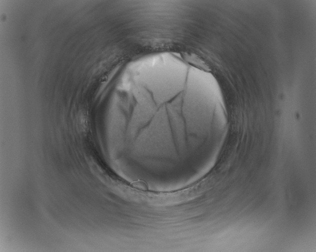 X0000072970039200608211333