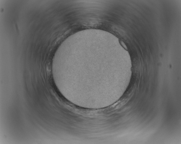 X0000072970040200608211333