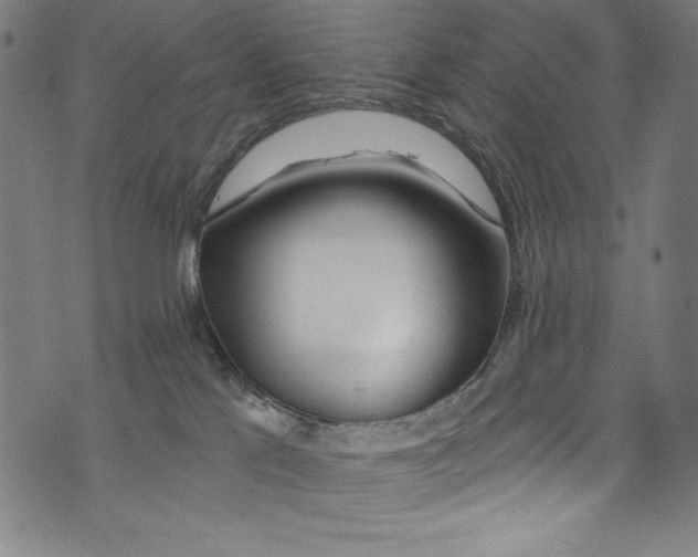 X0000072970041200608211333