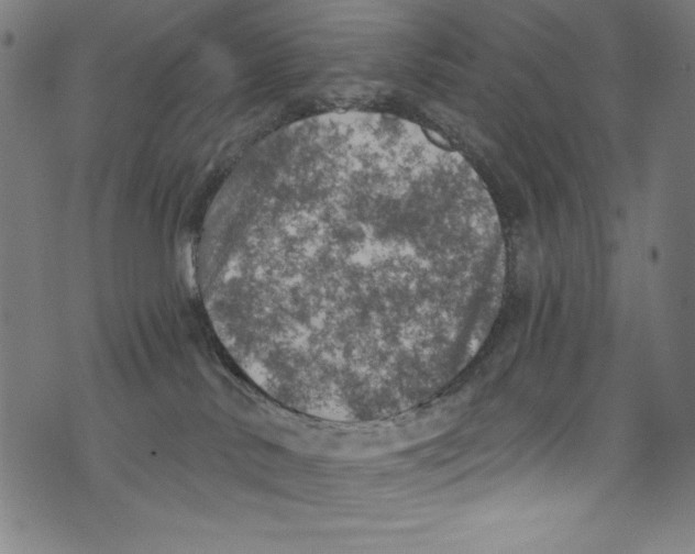 X0000072970042200608211333