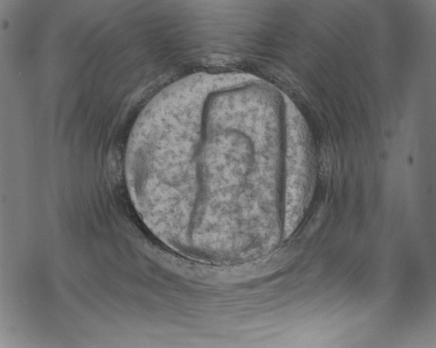 X0000072970043200608211333