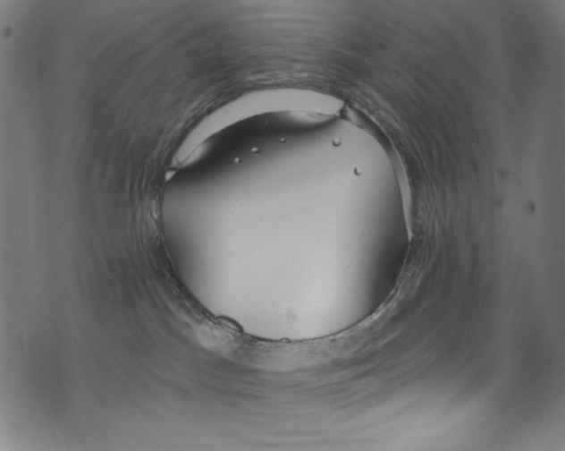 X0000072970045200608211333