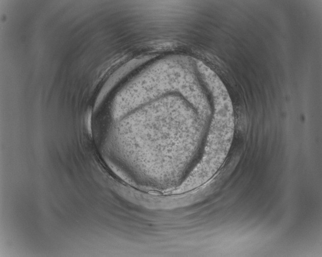 X0000072970047200608211333