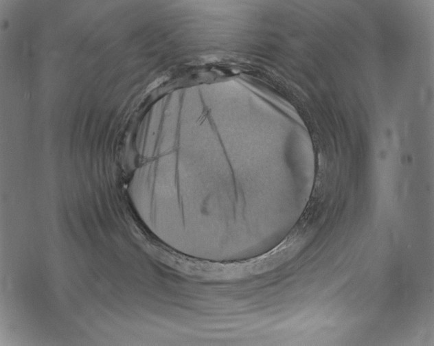 X0000072970048200608211333