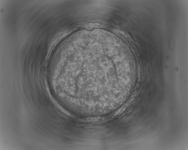 X0000072970049200608211332