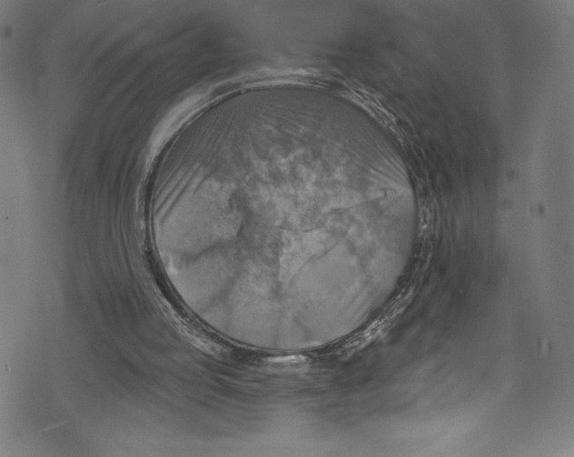 X0000072970053200608211332