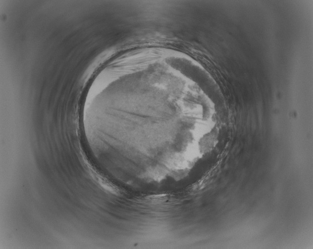 X0000072970054200608211332