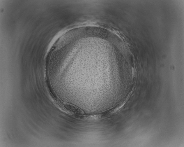 X0000072970056200608211332