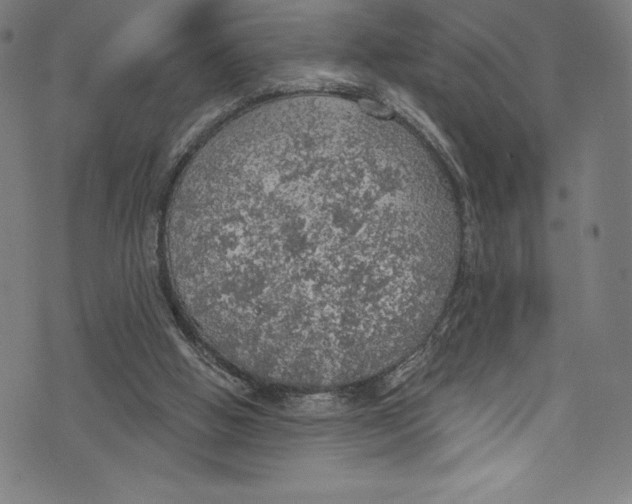 X0000072970058200608211332