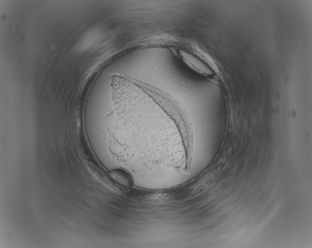 X0000072970059200608211332