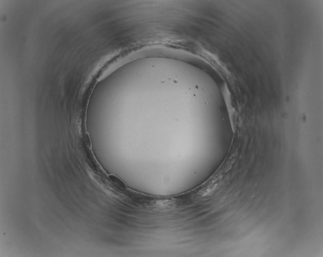 X0000072970060200608211332