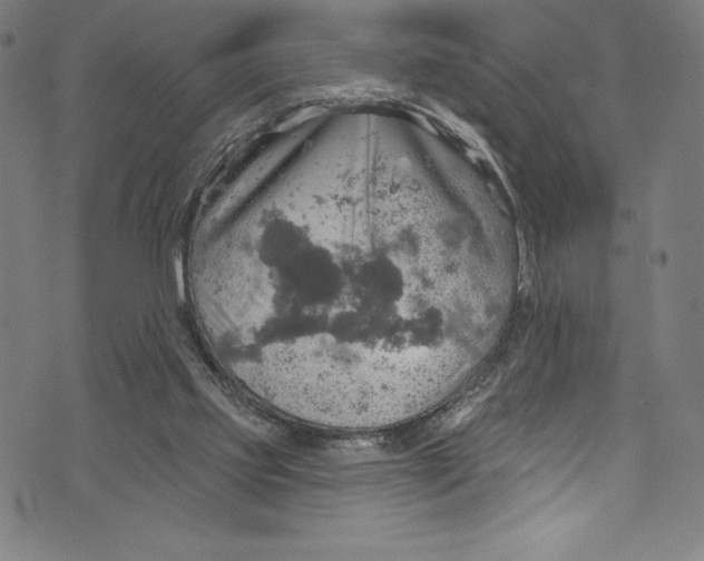 X0000072970061200608211332