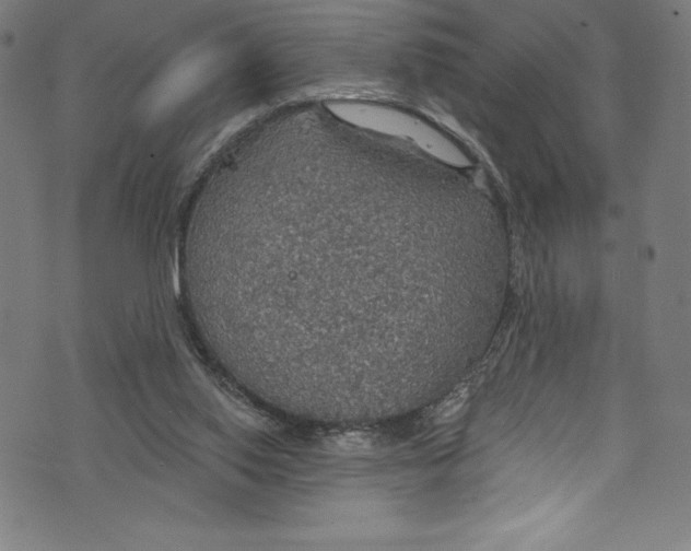 X0000072970062200608211332