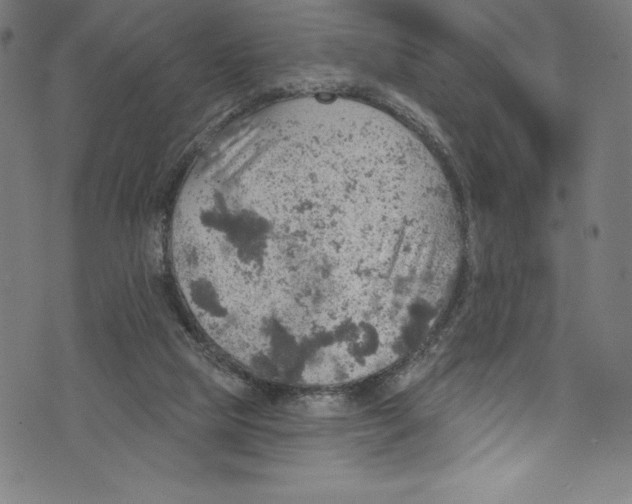 X0000072970065200608211332