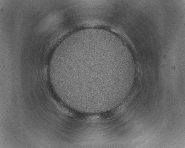 X0000072970066200608211332