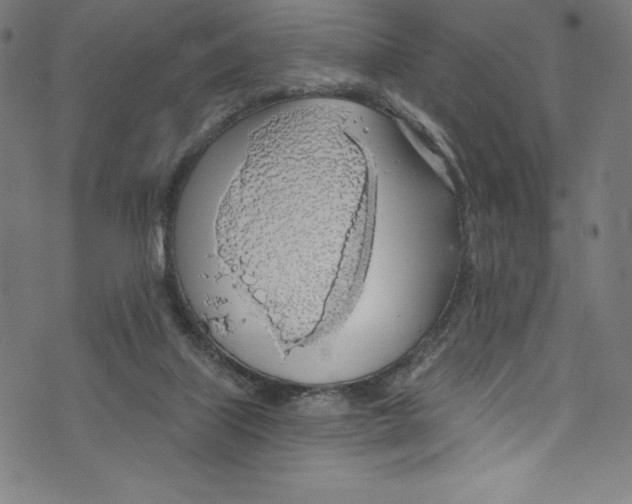 X0000072970067200608211332