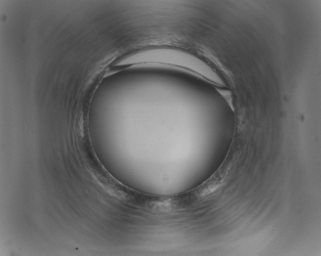 X0000072970068200608211332