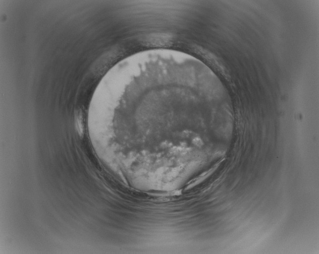 X0000072970069200608211332