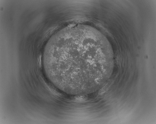 X0000072970070200608211332