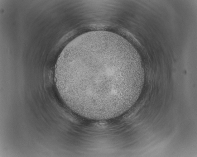 X0000072970071200608211332