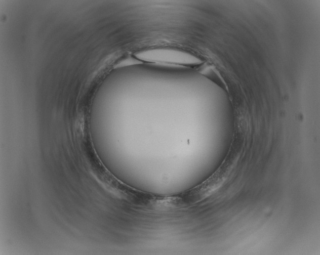 X0000072970072200608211332