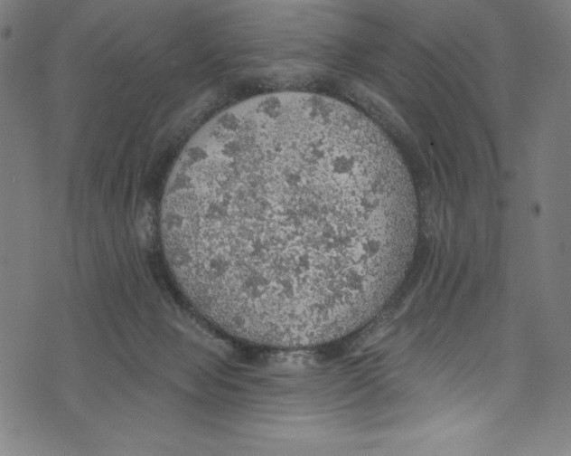 X0000072970077200608211332