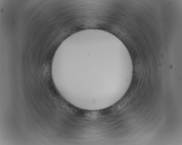 X0000072970079200608211332