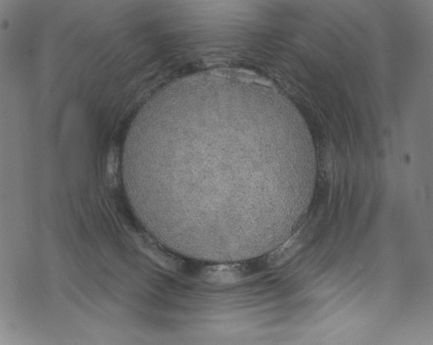 X0000072970082200608211332