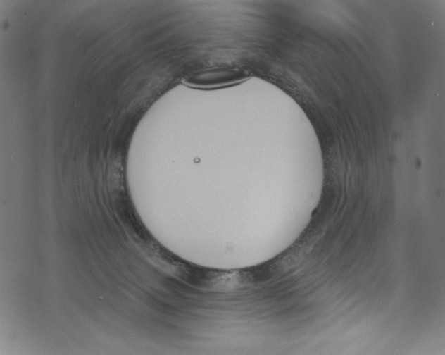 X0000072970083200608211332