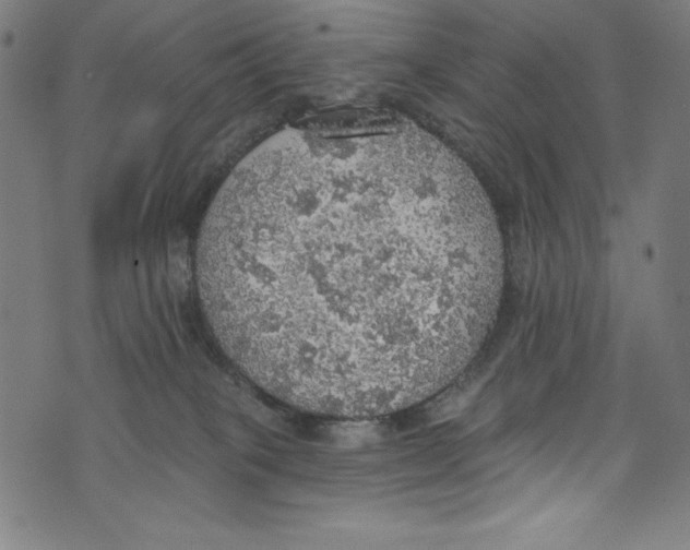 X0000072970085200608211332