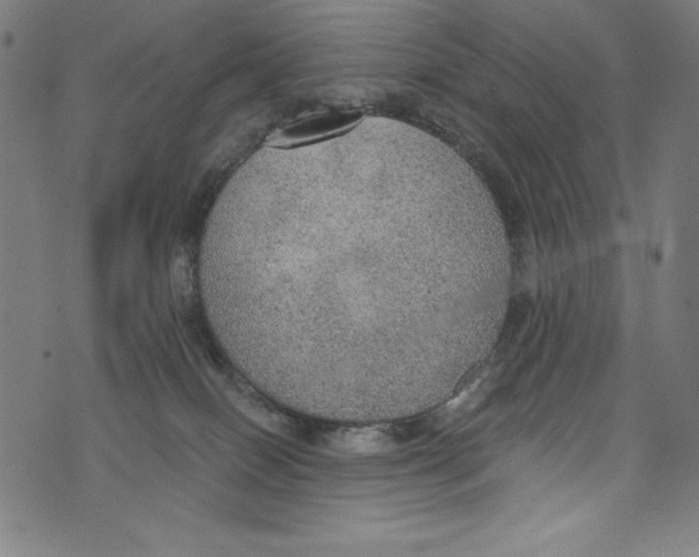 X0000072970086200608211332