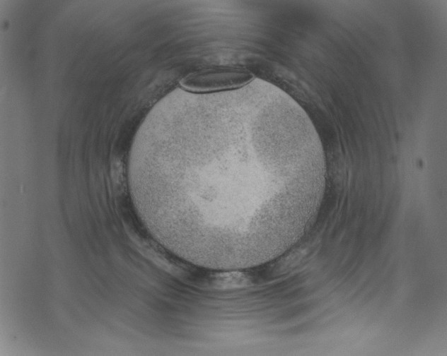 X0000072970087200608211332