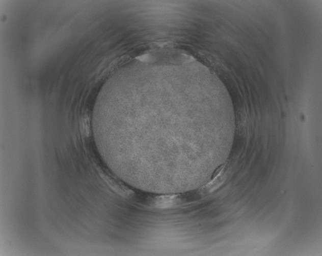 X0000072970090200608211332