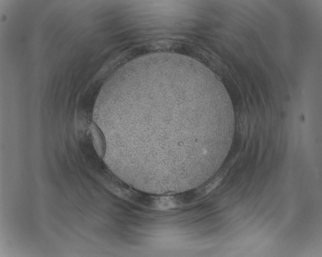 X0000072970091200608211332