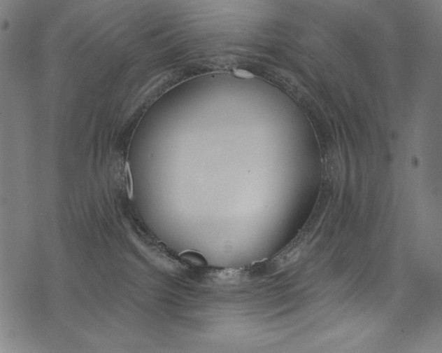 X0000072970092200608211332