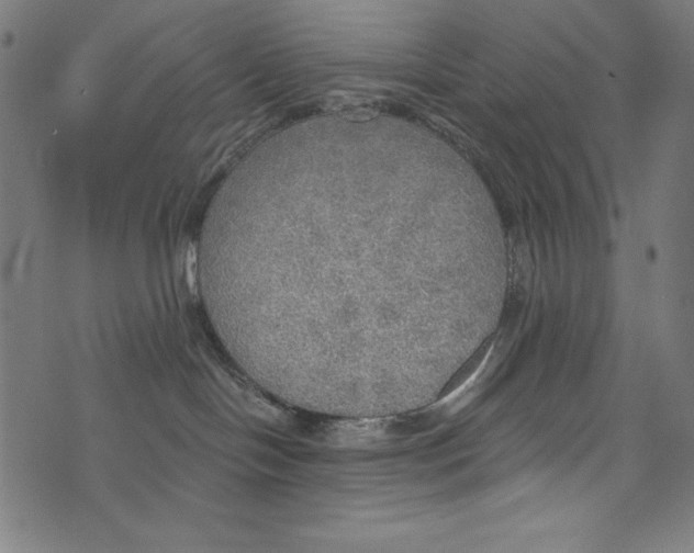 X0000072970094200608211333