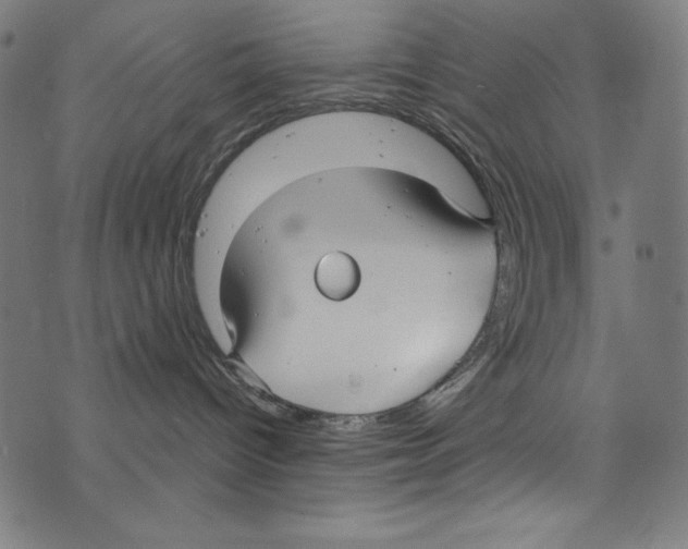 X0000072970096200608211333