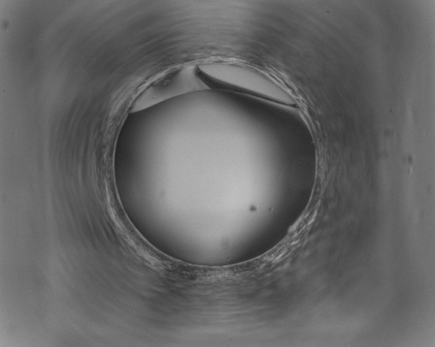 X0000072970097200608211332