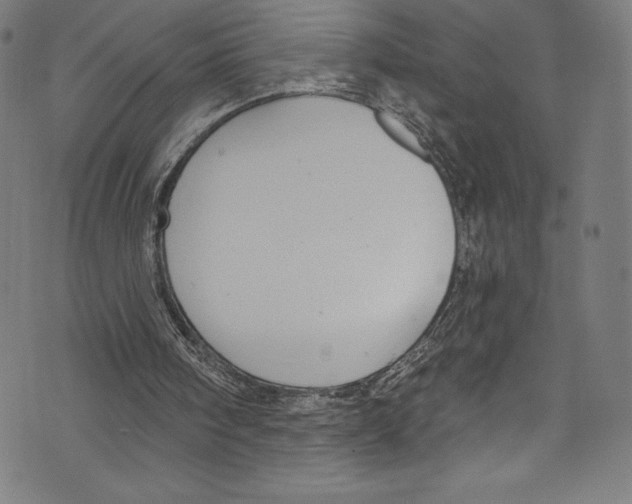 X0000072970098200608211332