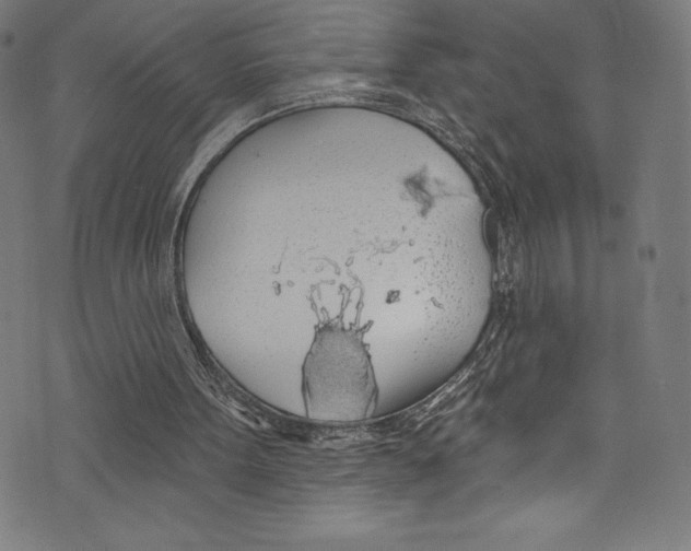 X0000072970099200608211332